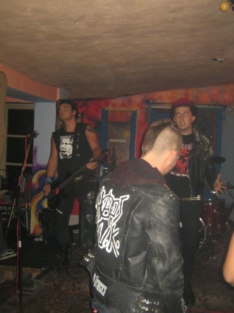 madpigs1.jpg