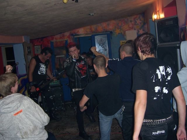 madpigs15.jpg
